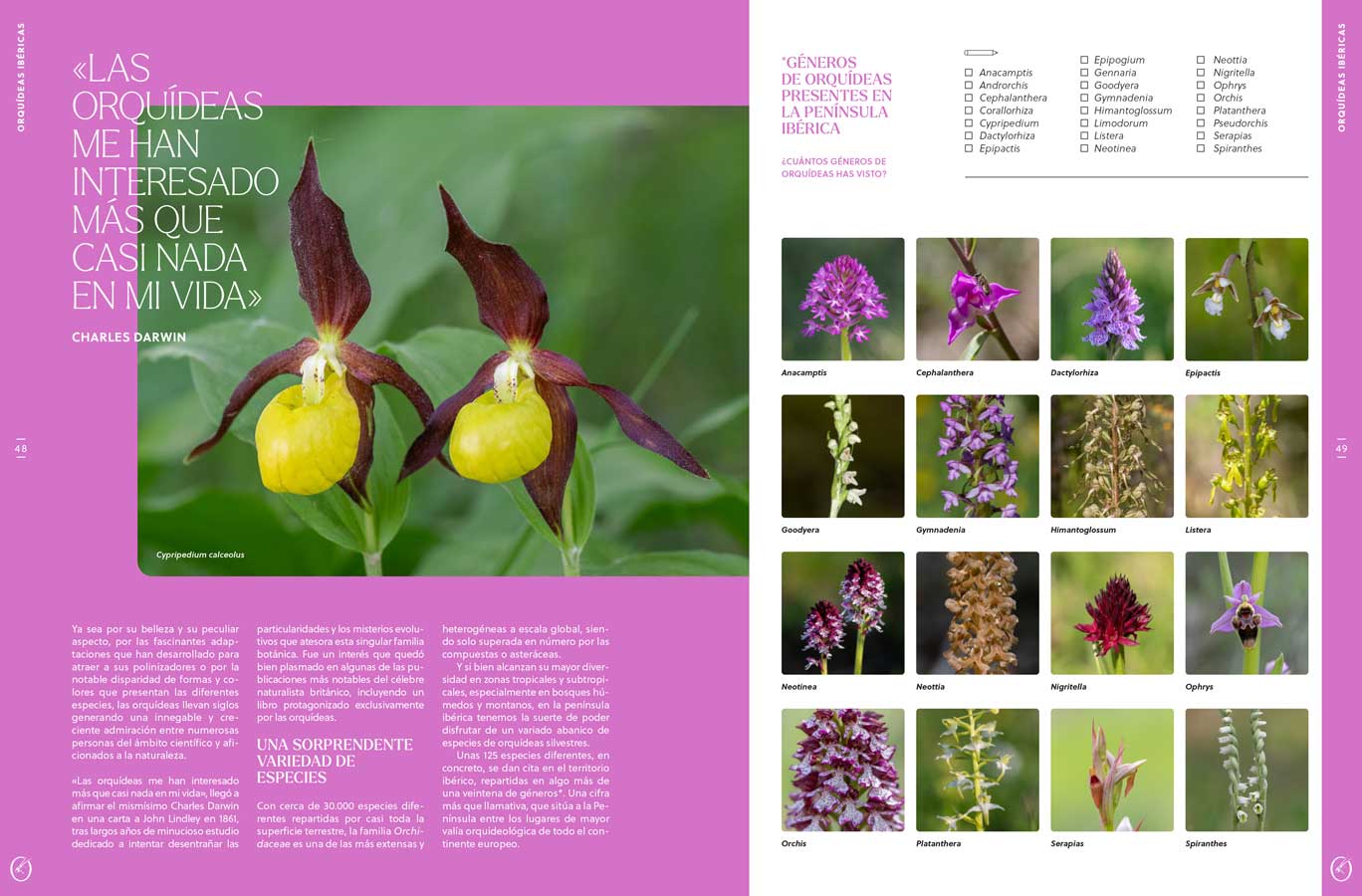 ORYX, LA REVISTA DEL AMANTE DE LA NATURALEZA. NÚMERO 09. VERSIÓN IMPRESA EN CASTELLANO. 5