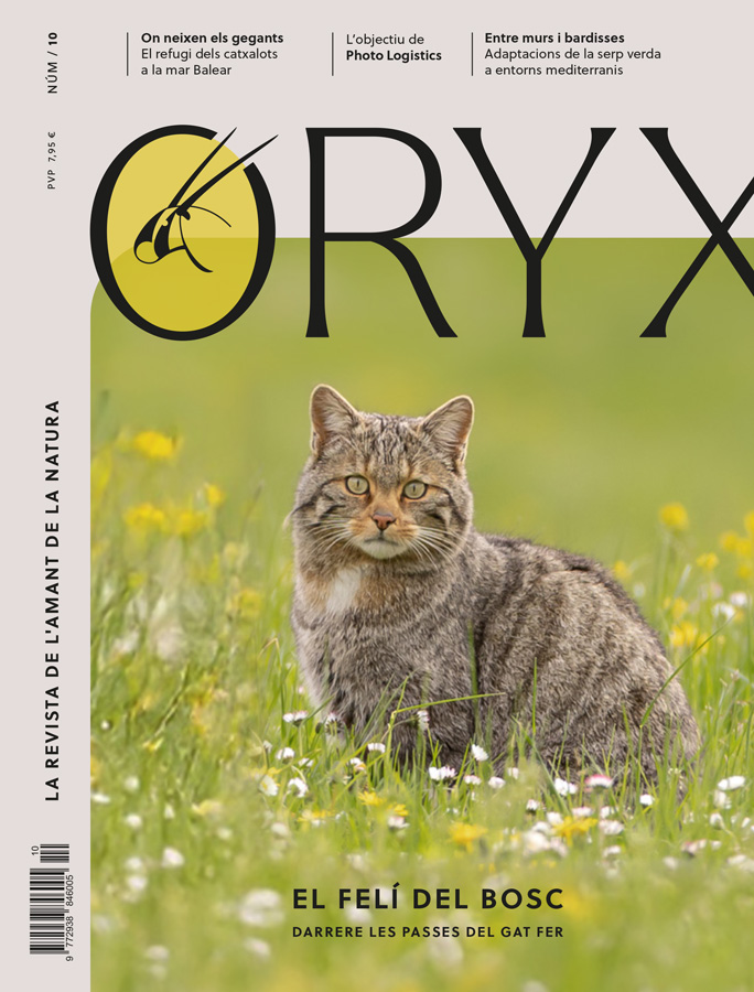 ORYX, LA REVISTA DE L'AMANT DE LA NATURA. NÚMERO 10. VERSIÓ IMPRESA EN CATALÀ. 1
