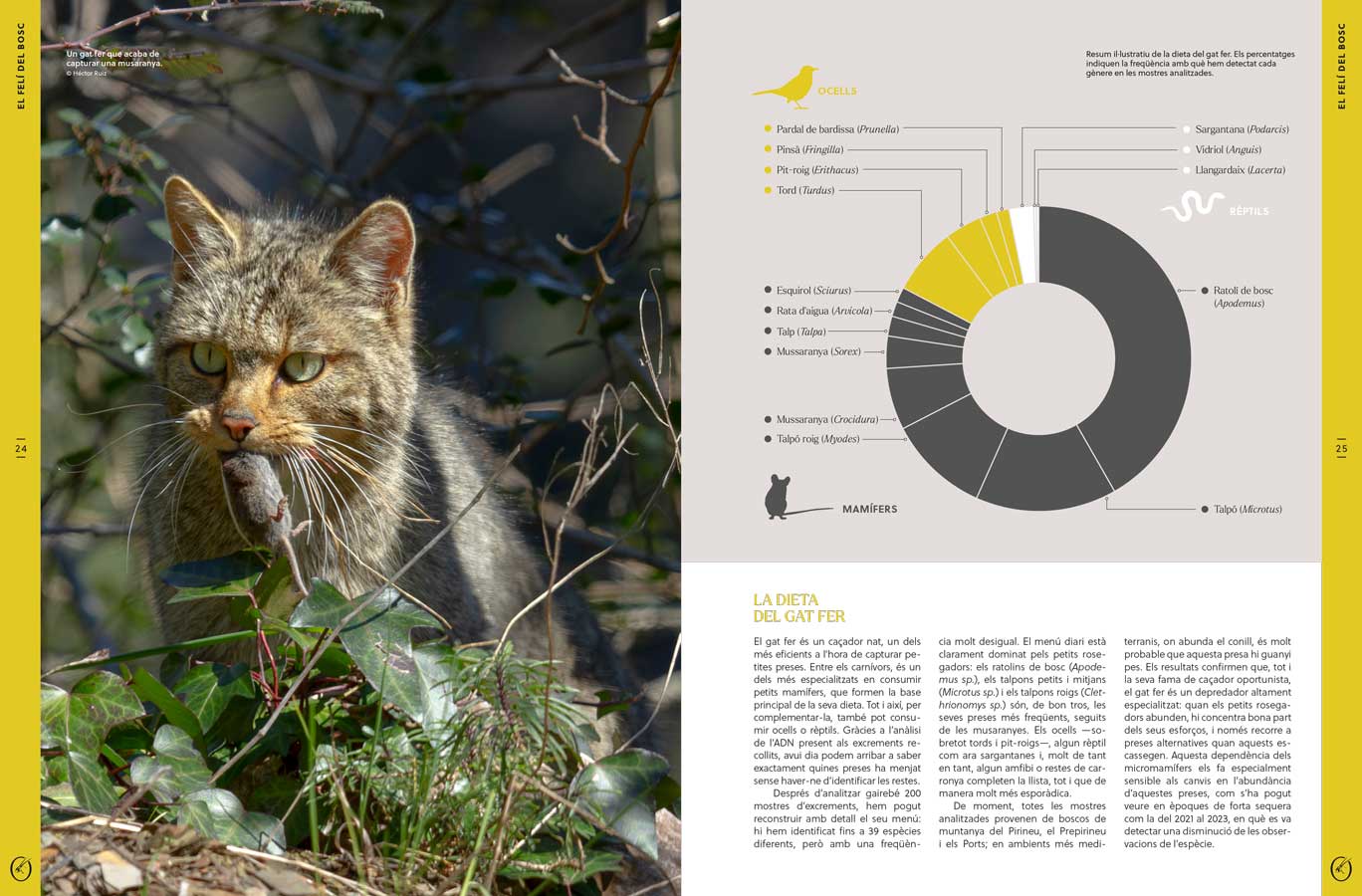 ORYX, LA REVISTA DE L'AMANT DE LA NATURA. NÚMERO 10. VERSIÓ IMPRESA EN CATALÀ. 4
