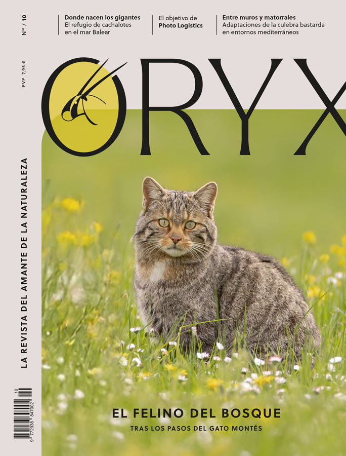 ORYX, LA REVISTA DEL AMANTE DE LA NATURALEZA. NÚMERO 10. VERSIÓN IMPRESA EN CASTELLANO. 1