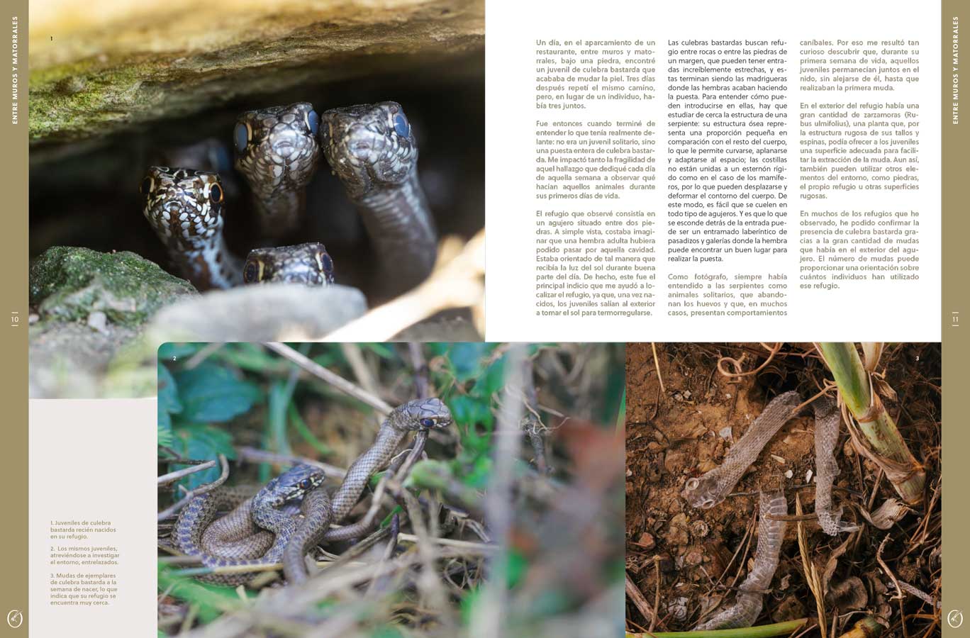 ORYX, LA REVISTA DEL AMANTE DE LA NATURALEZA. NÚMERO 10. VERSIÓN IMPRESA EN CASTELLANO. 3