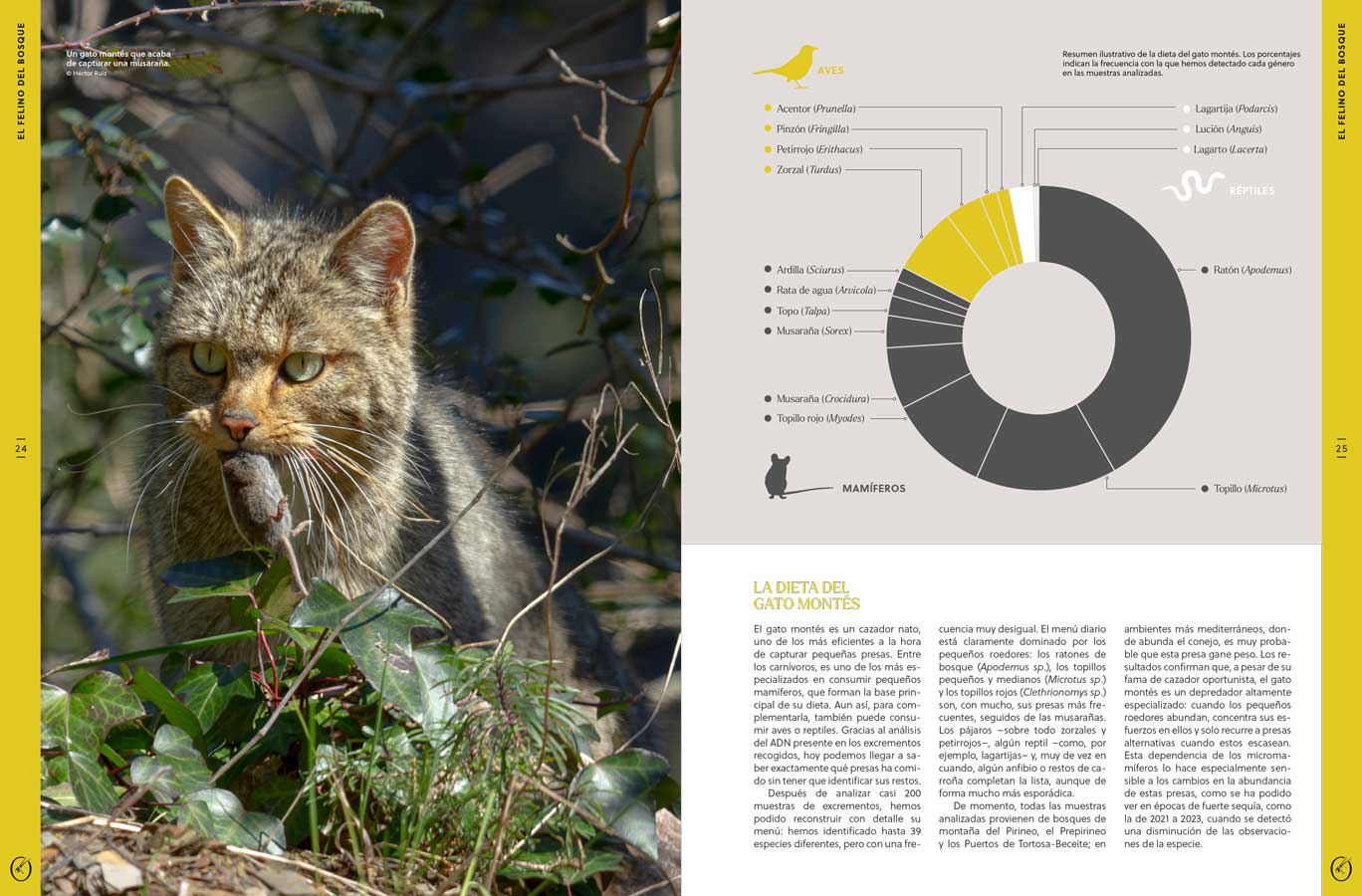 ORYX, LA REVISTA DEL AMANTE DE LA NATURALEZA. NÚMERO 10. VERSIÓN IMPRESA EN CASTELLANO. 4