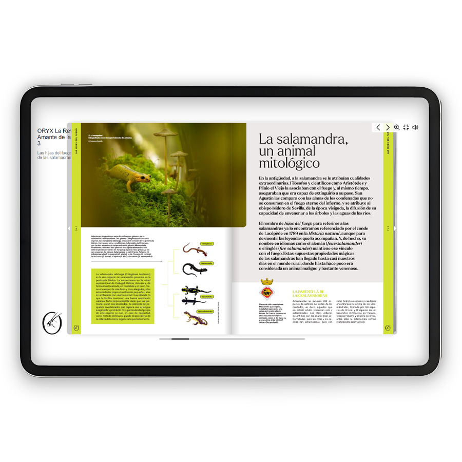 SUSCRIPCIÓN ANUAL A LA REVISTA ORYX DIGITAL EN CASTELLANO 1