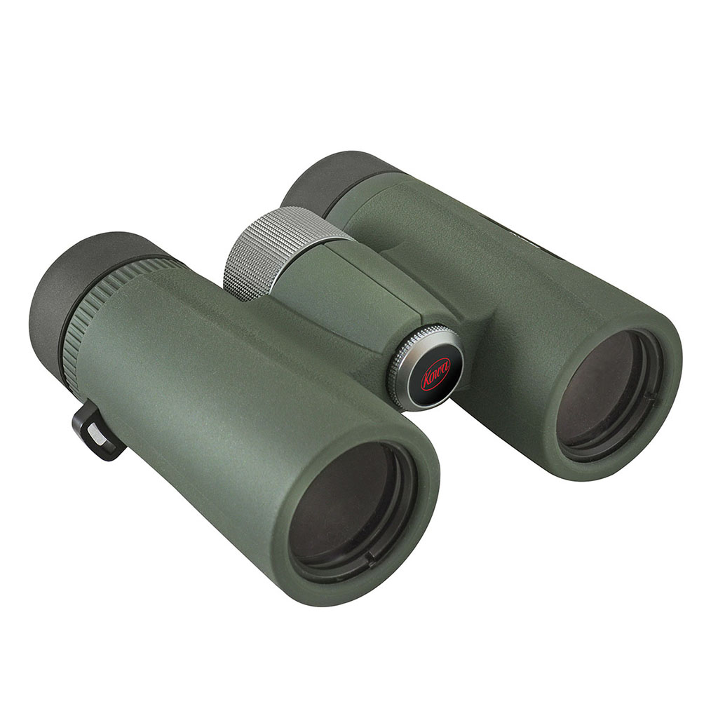 PRISMÁTICO KOWA BD II 10X32 XD 3