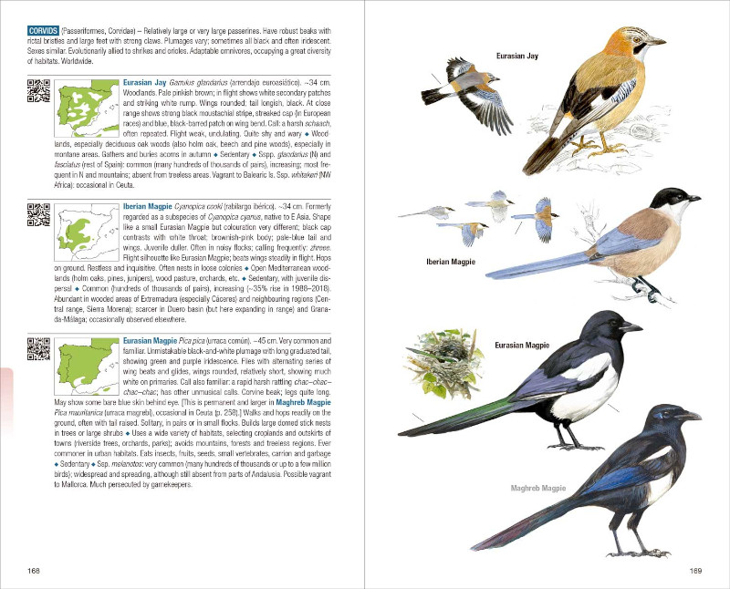 KIT BÁSICO DE OBSERVACIÓN DE AVES: PRISMÁTICO OPTICRON OREGON 10X42 + AVES DE ESPAÑA 7