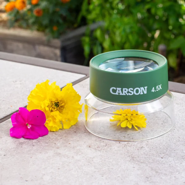 CARSON BUGLOUPE LUPA DE PIE PREENFOCADA 4,5X HU-55 2