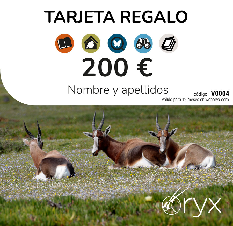 TARJETA REGALO 200  / TARGETA REGAL / GIFT CARD 2