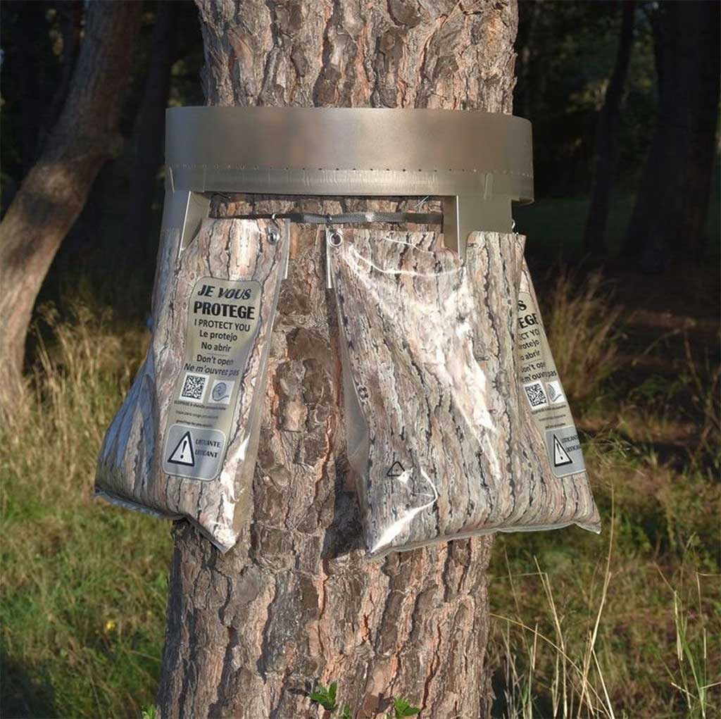 ECOPIEGE 30CM TRAMPA COLLAR PARA EL CONTROL DE LA ORUGA DE LA PROCESIONARIA 6