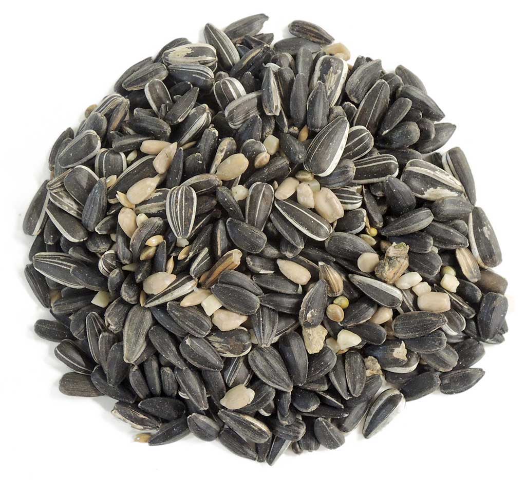 GRANA-A BOLSA DE MEZCLA DE SEMILLAS CON PIPA CON CÁSCARA. ALIMENTO PARA AVES SILVESTRES 700G 2
