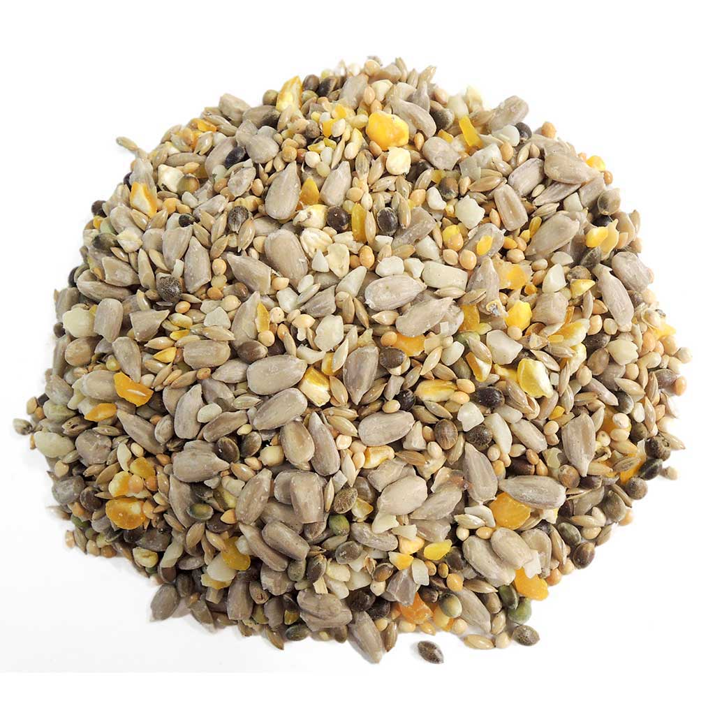 GRANA-S BOLSA DE MEZCLA DE SEMILLAS CON PIPA SIN CÁSCARA. ALIMENTO PARA AVES SILVESTRES 1 KG 2