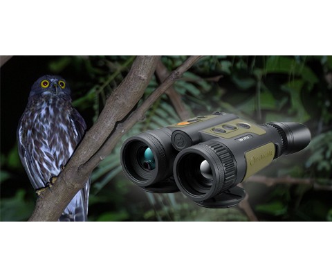 Pulsar Wildlife