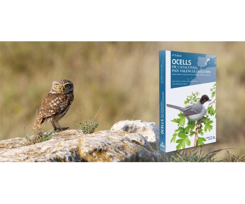 Ocells de Catalunya, País Valencià i Balears - 4th edition