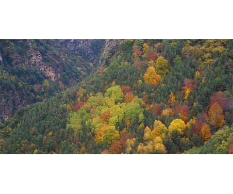 Selección de otoño