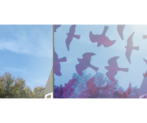 HELP REDUCE BIRD COLLISIONS
