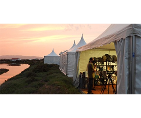 DELTA BIRDING FESTIVAL 2021