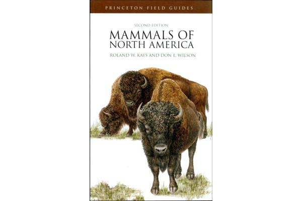 MAMÍFERS D'AMÈRICA DEL NORD