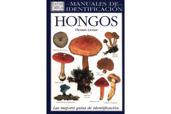 PLANTES SENSE FLORS: CRIPTÒGAMES