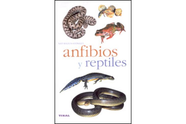AMFIBIS I RÈPTILS