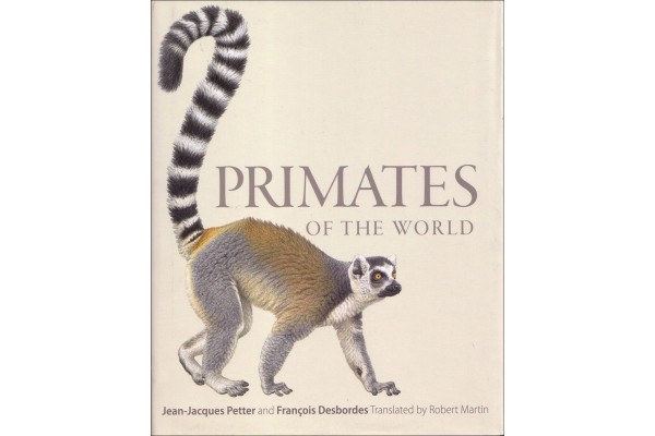 PRIMATS