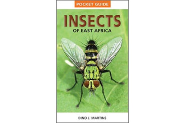 INVERTEBRATS D'ÀFRICA