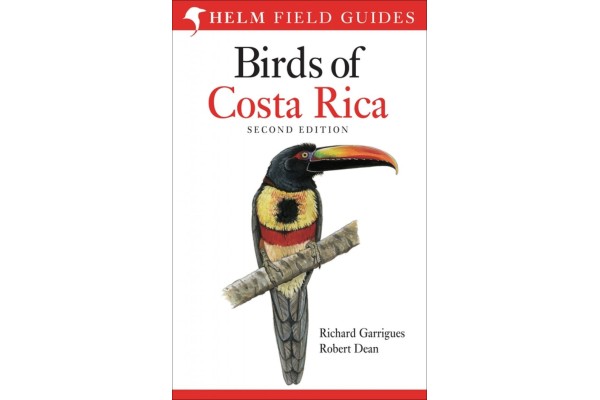 OCELLS DE CENTREAMÈRICA I AMÈRICA DEL SUD