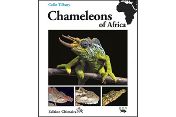 AMFIBIS I RÈPTILS D'ÁFRICA
