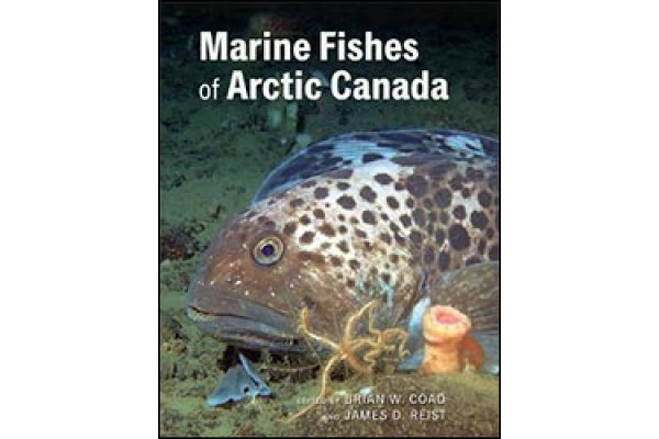 PEIXOS D'AMÈRICA DEL NORD