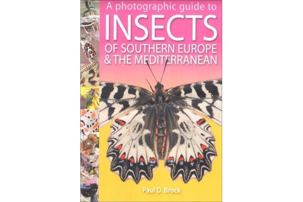 INSECTES I ARÀCNIDS