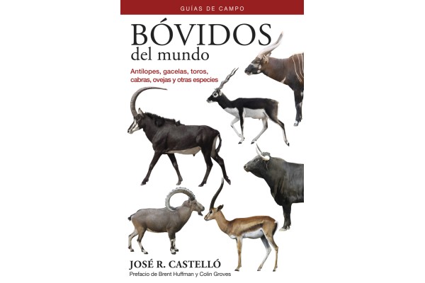 ALTRES MAMÍFERS