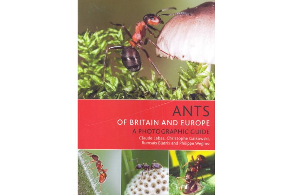 INVERTEBRATS D'EUROPA, NORD D'ÀFRICA I ORIENT PRÒXIM