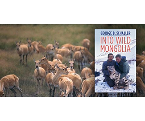 GEORGE SCHALLER BOOKS
