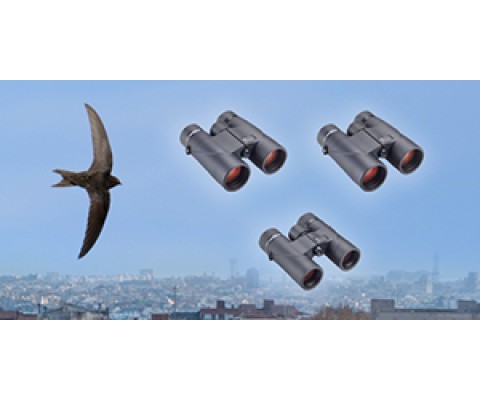 OPTICRON EXPLORER ED-R