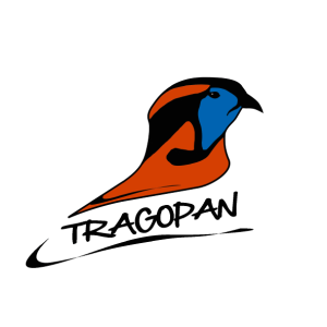 TRAGOPAN