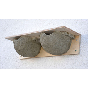 Nº 9B CAJA NIDO DOBLE PARA AVIÓN COMÚN
