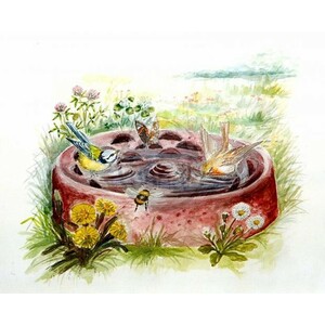 BEBEDERO-BAÑERA DE JARDÍN PARA AVES SILVESTRES_1
