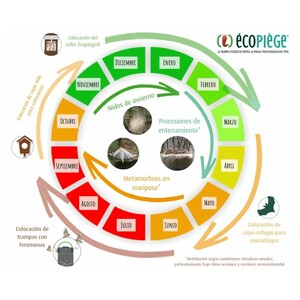 ECOPIEGE 30CM TRAMPA COLLAR PARA EL CONTROL DE LA ORUGA DE LA PROCESIONARIA 3