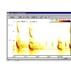 PROGRAMA INFORMÁTICO DE ANÁLISIS DE LOS GRITOS DE MURCIÉLAGOS PETTERSSON BATSOUND REAL-TIME SPECTROGRAM ANALYSIS, VERSION 4.7