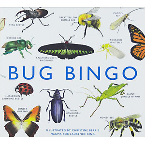 BUG BINGO - BINGO D INSECTES - BINGO DE INSECTOS