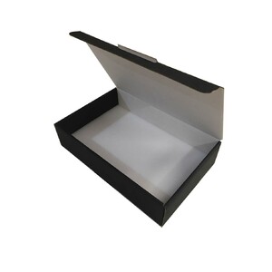 CAJA DE CARTÓN CON BASE DE FOAM PARA GUARDAR INSECTOS_1
