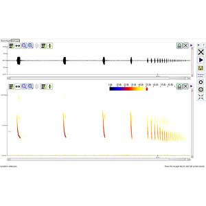 PETTERSSON BATSOUND TOUCH SOFTWARE_1