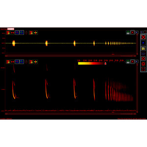 PETTERSSON BATSOUND TOUCH SOFTWARE 3