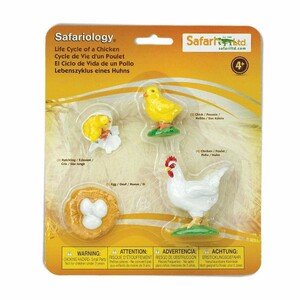 FIGURAS CICLO DE LA VIDA - GALLINA