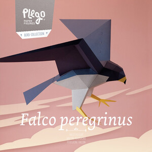 PLEGOPAPER- FIGURA RECORTABLE DE HALCÓN PEREGRINO (FALCÓ PELEGRÍ)