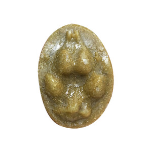 MOLDE HUELLA PIE VULPES VULPES (ZORRO, GUINEU, RAPOSO, AZERI ARRUNTA)