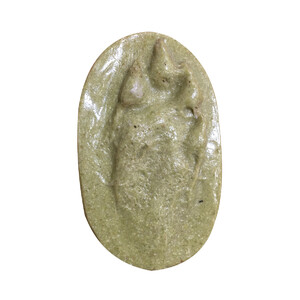 MOLDE HUELLA LEPUS EUROPAEUS (LIEBRE EUROPEA, LLEBRE EUROPEA, LEBRE EUROPEA, ERBI ARRUNT)