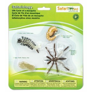 FIGURAS CICLO DE LA VIDA - MOSQUITO