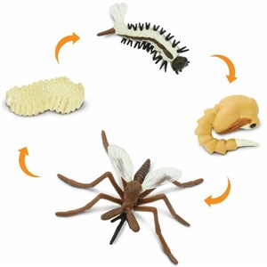 FIGURAS CICLO DE LA VIDA - MOSQUITO_1