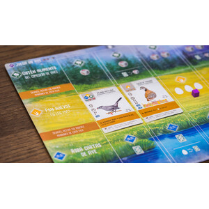 JUEGO BASE WINGSPAN 4