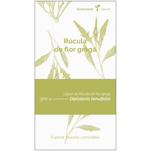 COL·LECTIU EIXARCOLANT. RÚCULA DE FLOR GROGA (DIPLOTAXIS TENUIFOLIA). LLAVORS DE VARIETATS AGRÍCOLES TRADICIONALS