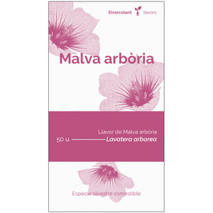 COL·LECTIU EIXARCOLANT. MALVA ARBÒRIA (LAVATERA ARBOREA). LLAVORS DE VARIETATS AGRÍCOLES TRADICIONALS